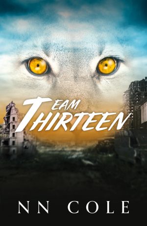 TeamThirteen_Cover_Web